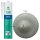 Ramsauer 130 Alkoxy lichtgrau 1K Silikon Dichtstoff 310ml Kartusche