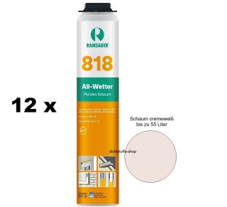 12 x Ramsauer All Wetter Pistolen 1K PU Schaum 818 B2 800ml NBS Dose