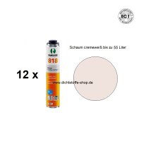 12 x Ramsauer Winter Pistolen 1K PU Schaum 818 B2 750ml...