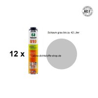 12 x Ramsauer Volumenschaum Pistolen 1K PU Schaum 819 B2...