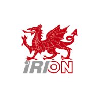 Irion 2K Klebstoff Dosierpistole DP-50 50ml Doppelkartuschen 1:1/2:1