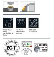 Ramsauer Brunnen 1K PU Schaum 804 750ml Kombidose