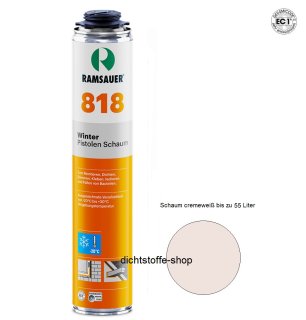 Ramsauer Winter Pistolen 1K PU Schaum 818 B2 750ml NBS Dose