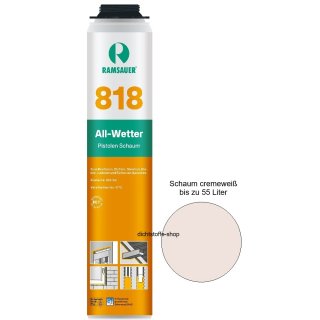 Ramsauer All Wetter Pistolen 1K PU Schaum 818 B2 800ml NBS Dose
