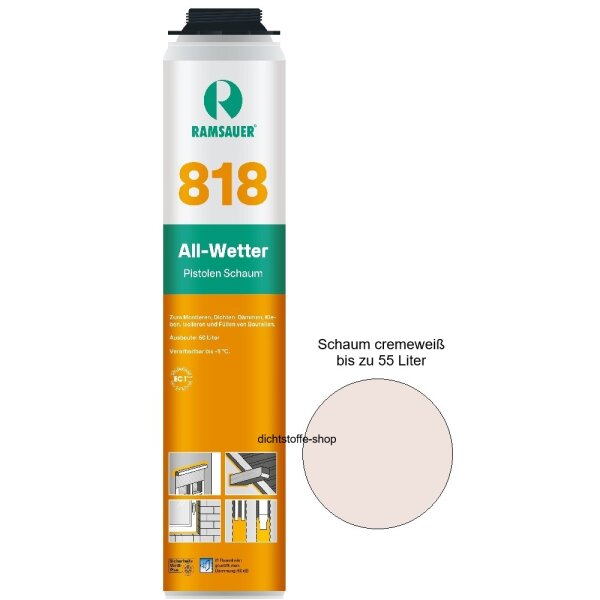 Ramsauer All Wetter Pistolen 1K PU Schaum 818 B2 800ml NBS Dose
