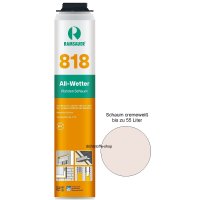 Ramsauer All Wetter Pistolen 1K PU Schaum 818 B2 800ml...